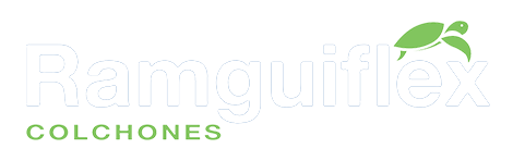 Ramguiflex